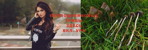 spice Алзамай